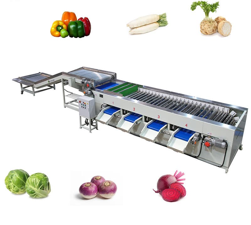 images/1661322038440Bell pepper sorter.jpg